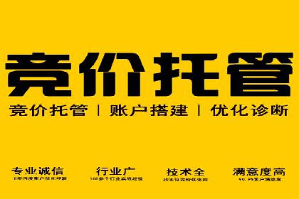百度推广实战案例：成功之路